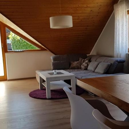 Appartment Sonnenblick Dielheim 外观 照片