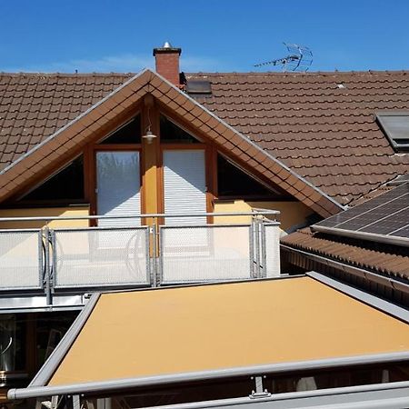 Appartment Sonnenblick Dielheim 外观 照片