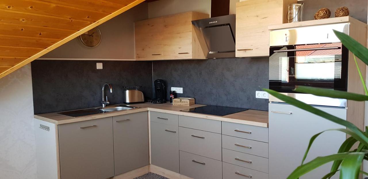Appartment Sonnenblick Dielheim 外观 照片
