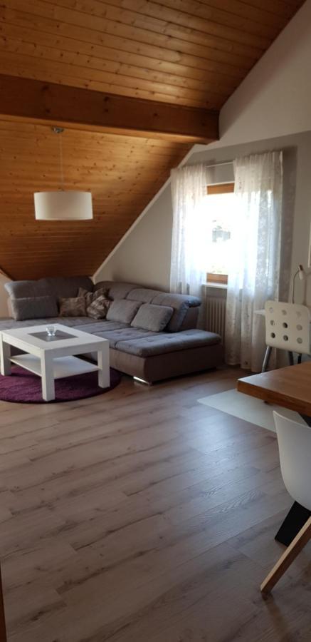 Appartment Sonnenblick Dielheim 外观 照片