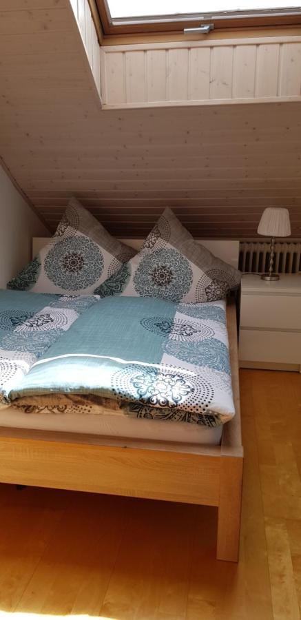 Appartment Sonnenblick Dielheim 外观 照片